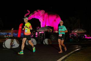 BIB: 
                            <button type="button" onclick="openModal(26535359)" class="btn btn-primary btn-sm float-right btn-popup" data-toggle="modal" data-target=".modal-high-quality">
                        <i class="fas fa-shopping-cart"></i> Add to Cart
                    </button>
                                            <button type="button" onclick="isThisMe(26535359, true)" class="btn btn-success btn-sm float-right btn-popup btn-isme hidden" data-toggle="tooltip" data-placement="bottom" title="นี่คือรูปของคุณใช่ไหม คลิกที่นี่เพื่อเอาเข้าอัลบั้ม">
                        <i class="fas fa-plus"></i> Add to album
                    </button>
                    <button type="button" onclick="isThisMe(26535359, false)" class="btn btn-warning btn-sm float-right btn-popup btn-isnotme hidden">
                        <i class="fas fa-ban"></i> Remove from album
                    </button>